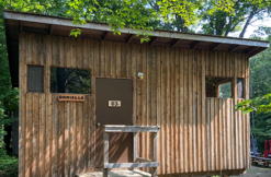 Danielle Cabin_web